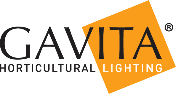 Gavita
